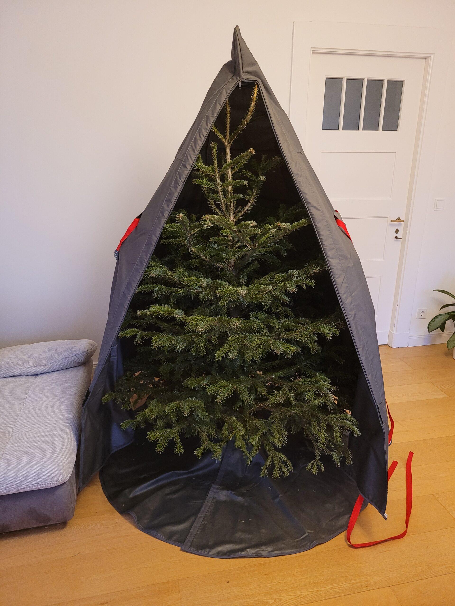 Anleitung für das Nadellose Entsorgen des Weihnachtsbaums