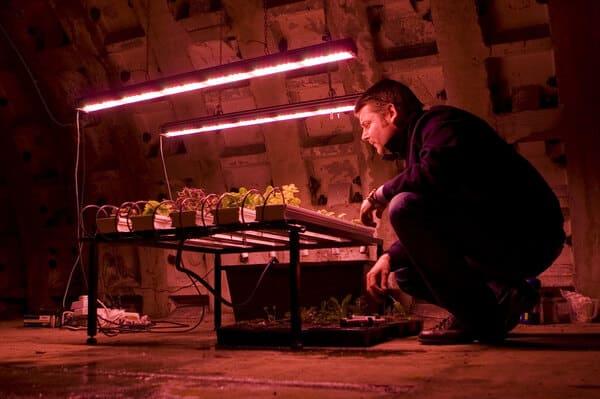 Unterirdische Plantage London