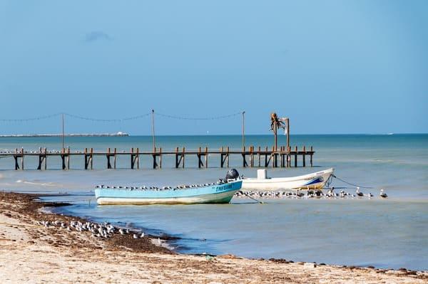 Strände in Mexiko mit Sargassum