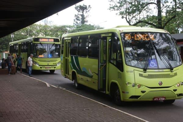 Bus 120 Iguacu