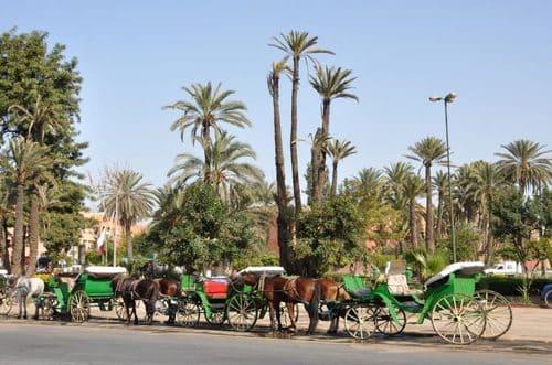 Kutsche in Marrakesch