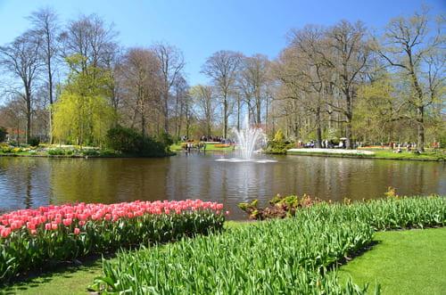 Gärten des Keukenhof