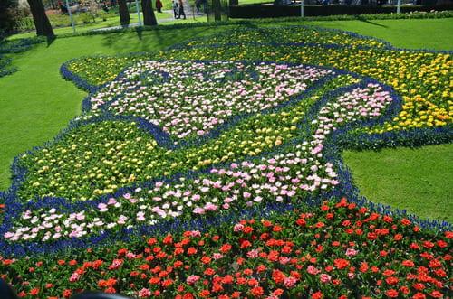 Tulpen Van Gogh